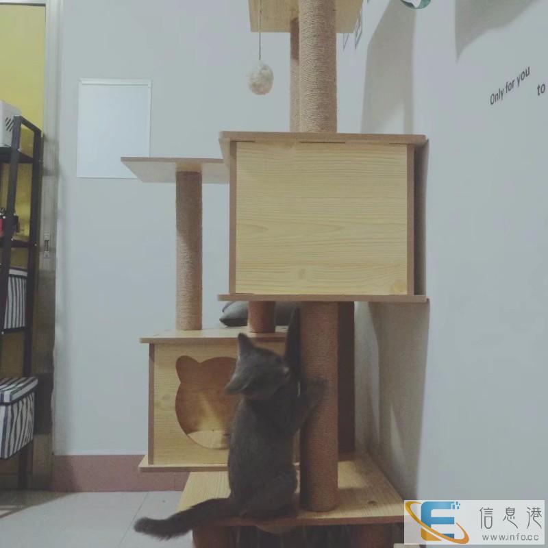 猫爬架 猫床,9成新低价紧急转让