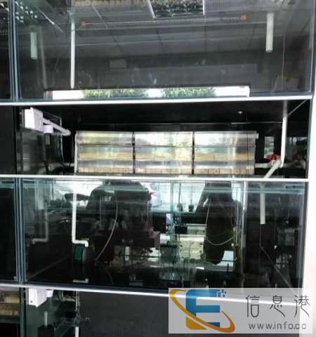 低价转让渔场专用鱼缸