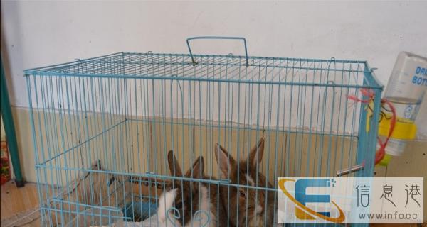 特惠多款全新超大豪华折叠兔笼标准宠物大笼及用品大促销