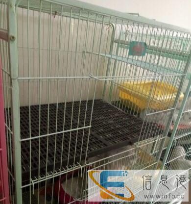 出售二手猫笼子