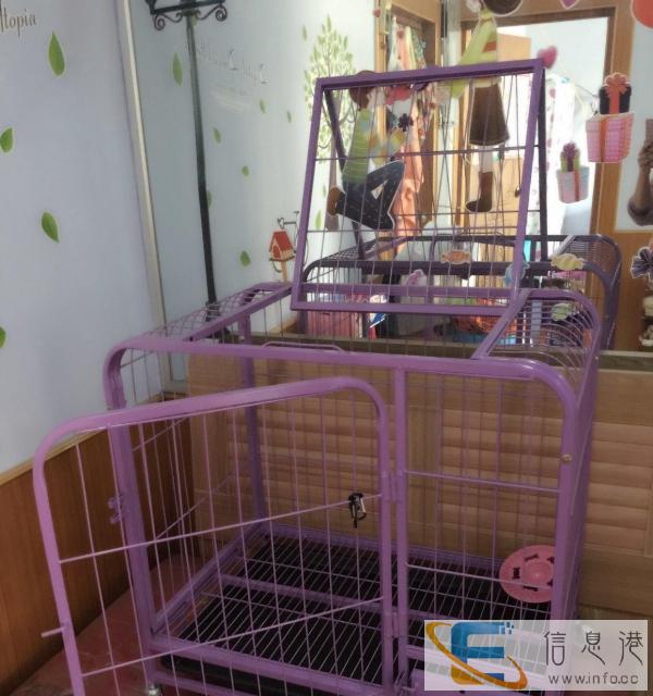 狗笼 紫色 全新 空间够大