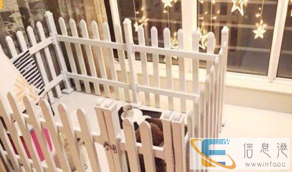 转让狗狗围栏全新