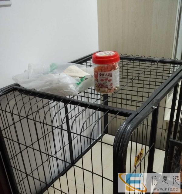 9成新狗用品价格200