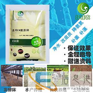 水产专用微生物EM菌厂家批发价格