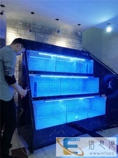 广州美人鱼表演海狮租赁口碑哪家好 洋清水族海鲜池定制