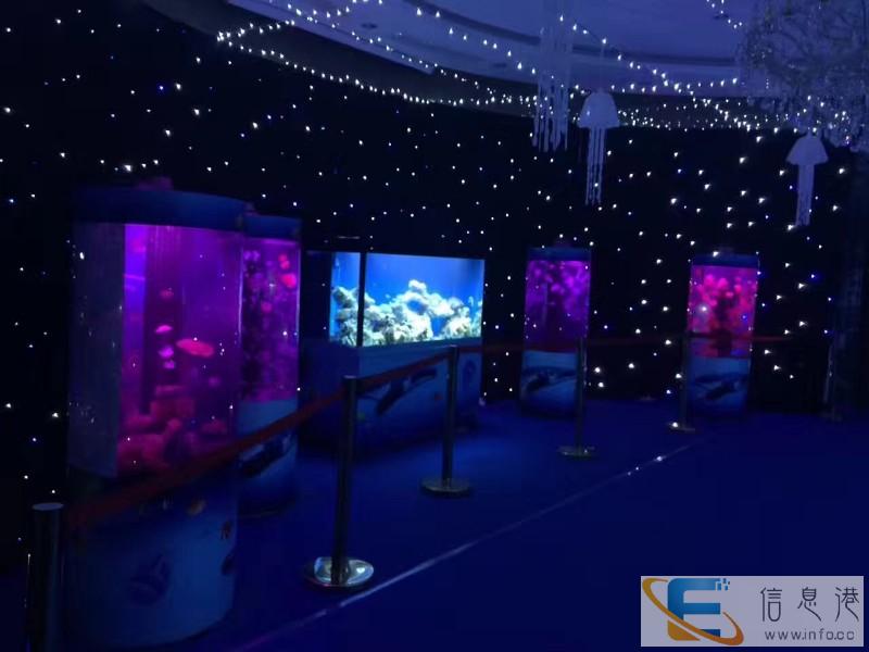 广州海狮表演出租联系电话 洋清水族海洋生物展租赁公司