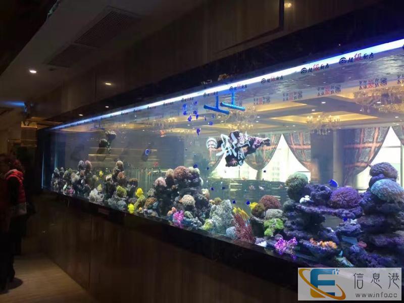 大鱼缸清洗方法-洋清水族鱼缸厂家