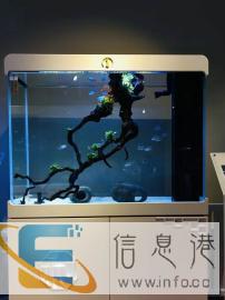 鱼缸维护，清洗 景观设计制作