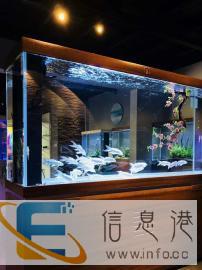 专业鱼缸维护清洗，水草造景