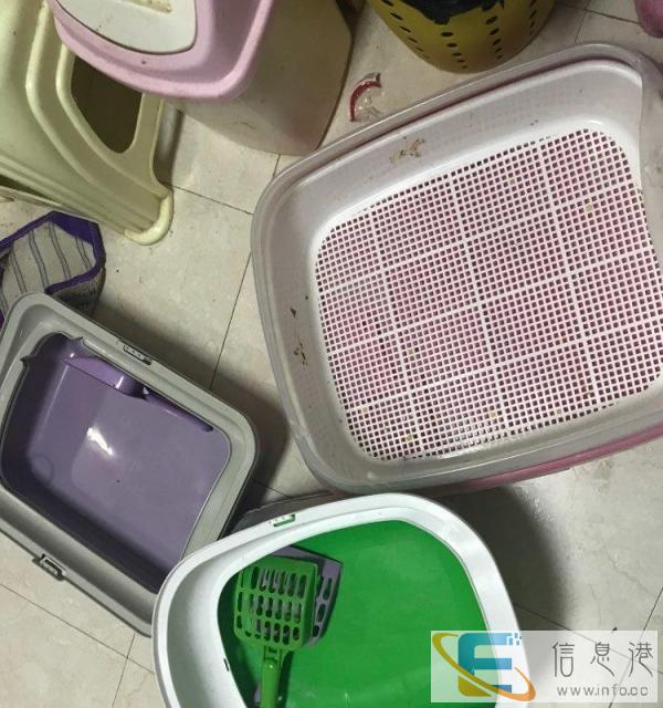 自家猫猫用品转让