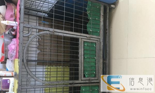 闲置大狗笼出售