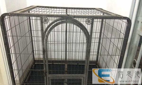 狗笼大甩卖,另外还有吹水机转卖