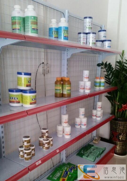 新领域龟用品店