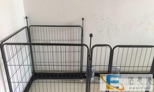 大型狗狗围栏 金毛哈士奇拉布拉多类似中大型犬围栏