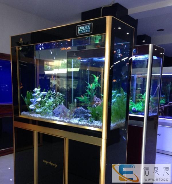 重庆人鱼传奇品牌鱼缸诚征各地经销、代理合作