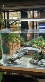 鱼缸造景生态鱼缸定制雨淋缸水路缸