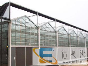 河南祥瑞专业建造各种温室大棚骨架价格实惠