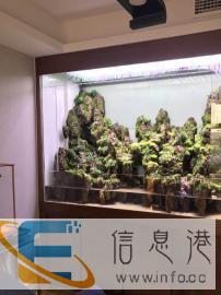 雨淋缸水路缸水草缸鱼缸造景生态鱼缸