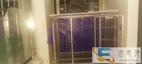 质量很好的大狗笼