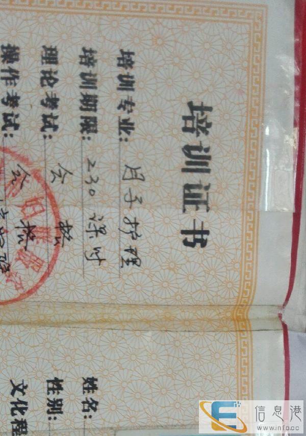 本人专业月嫂护理