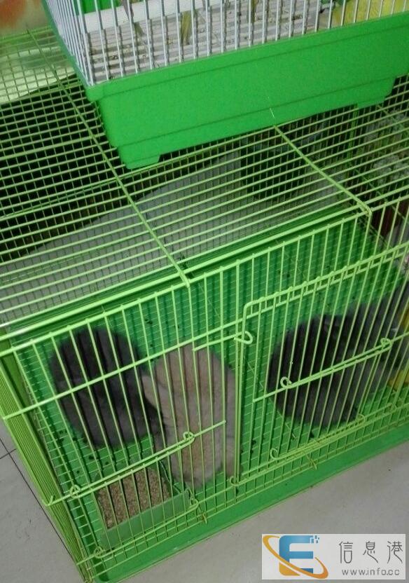 本店批发零售兔粮,兔兔、兔笼、仓鼠粮、仓鼠、仓鼠笼、鹦鹉