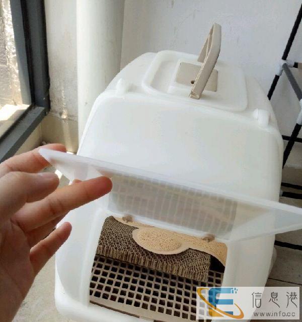 猫咪用品，一应俱全，全新转让