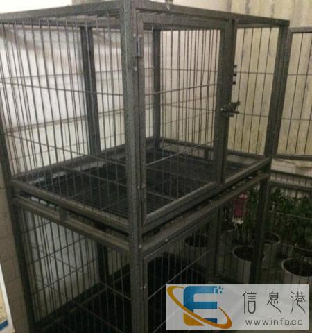 宠物双层笼转让