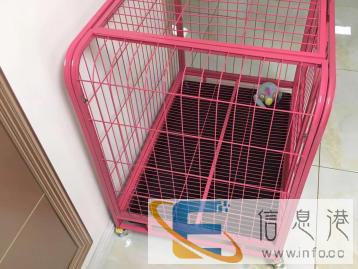 全新狗用品价格280