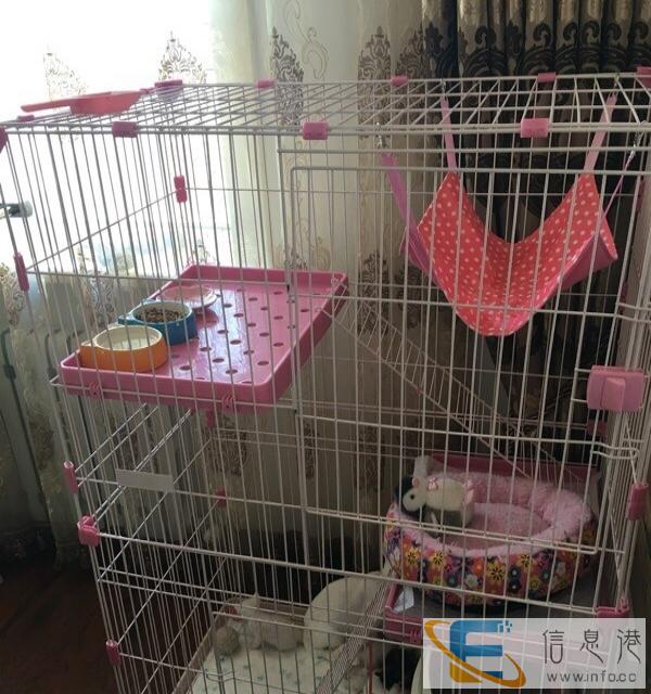 转让九成新三层猫别墅