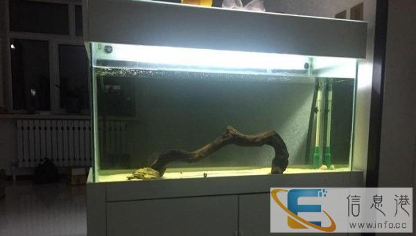 转让1.2米鱼缸