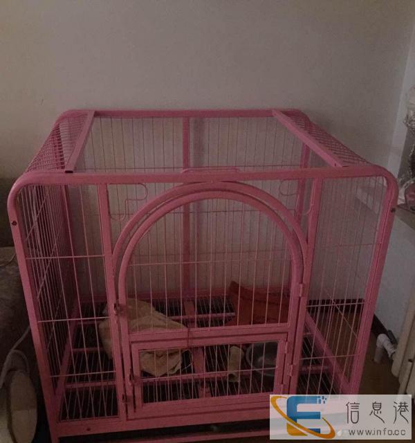 99成新狗用品价格270