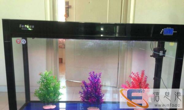 电脑版森森水族箱价格600元