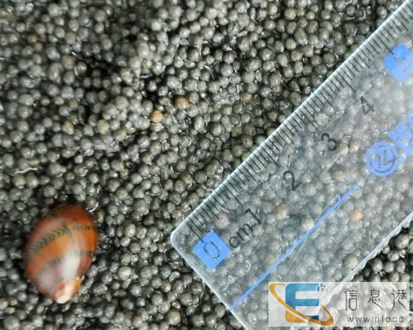 出售鱼缸底砂陶粒砂