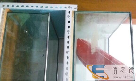 鱼缸出售便宜啦