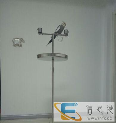 出售不锈钢站立式鸟架