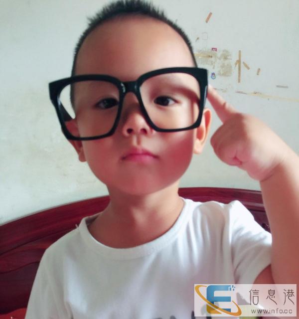 找一个半天的工作