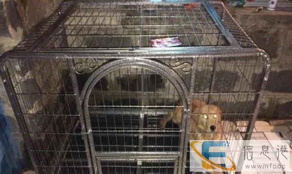 买大了，又要的转让