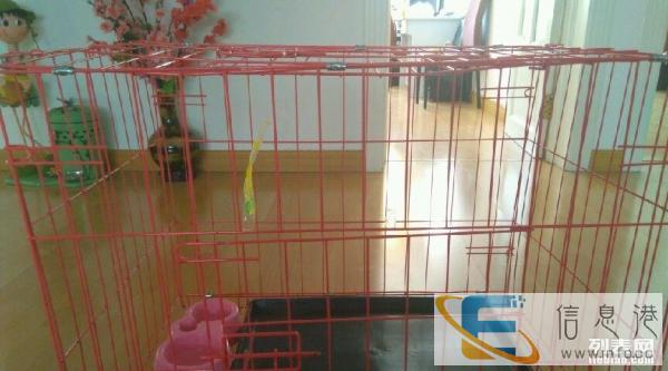 全新狗笼50转让