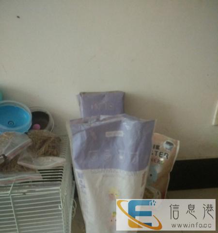 出仓鼠笼和一堆杂物