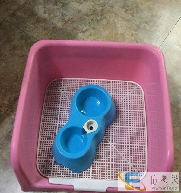 闲置狗狗用品加狗粮