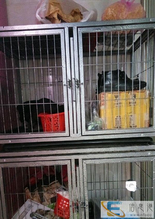 双层狗笼用不上转让