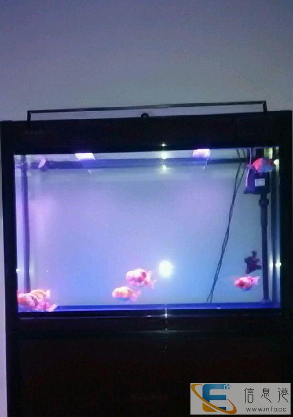 森森上滤龙缸长1.05米，30宽