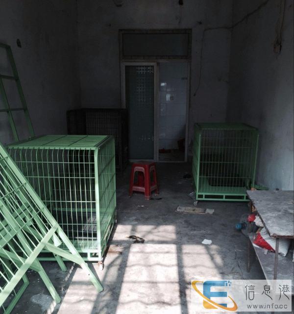 出售笼子獒运珍宝