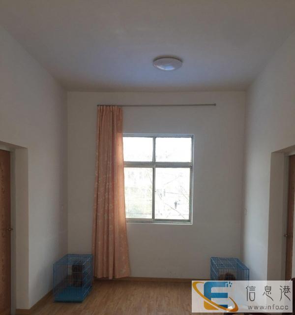 宠物班长 家庭式寄养旅馆