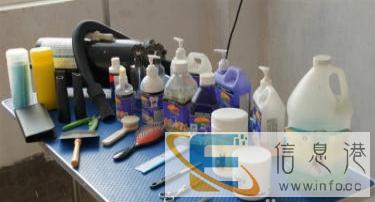 优选犬舍   比格犬基地热销、高品质米格鲁、打电话、基地见面