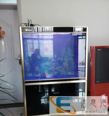 乐洋鱼缸欢迎你