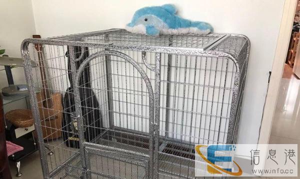 大型犬狗笼子转让