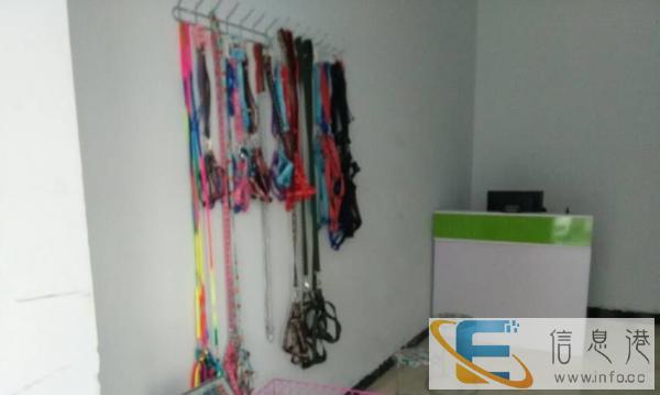 华夏南路美宠宠物店