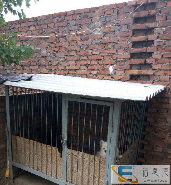 低价出售大铁笼子