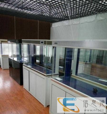 精美全自动超白玻璃鱼缸及配套设备 可定做特制规格